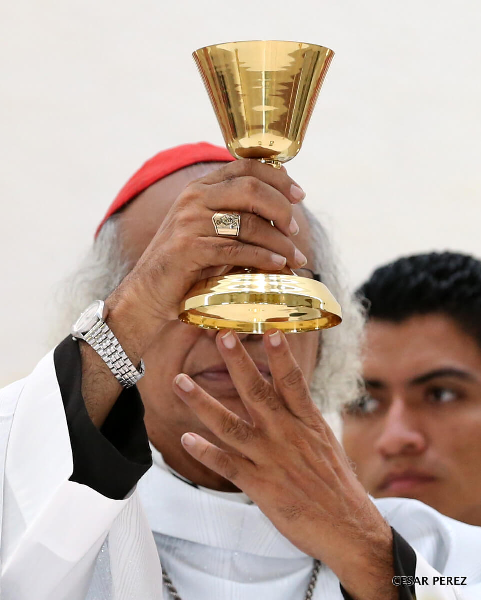 Cardenal1